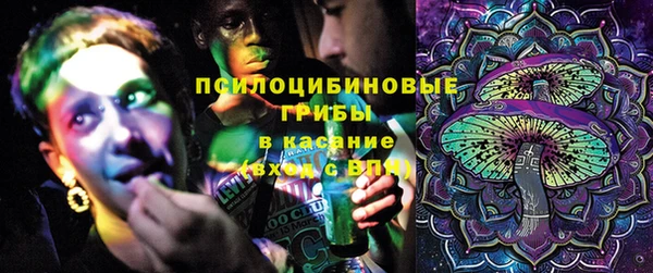 бошки Богородск
