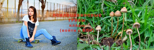бошки Богородск