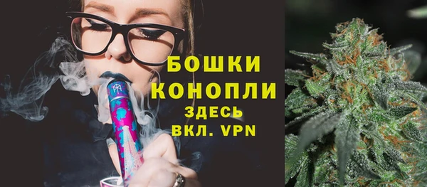 трава Богданович