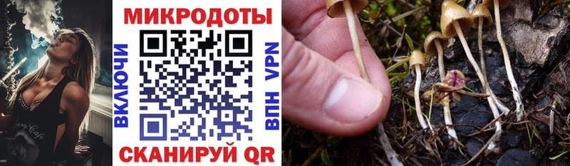 наркота  ОМГ ОМГ ссылка  Галлюциногенные грибы GOLDEN TEACHER  Тула 