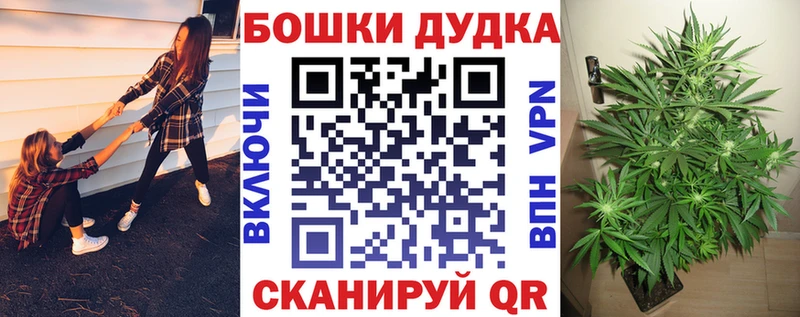 Бошки марихуана план  купить   Тула 